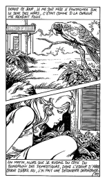 African Love : page 34