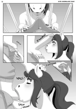 Animal Conservation : page 13