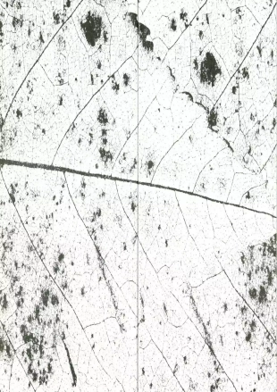 hentai Anna Strein T02 - Hôtel Paranoïa