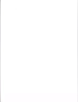 BizarrerieS : page 19