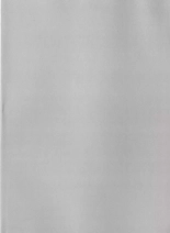 BizarrerieS : page 245