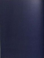 Blagues Coquines Volume 15 : page 102