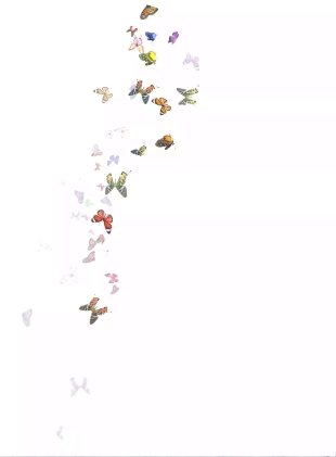 hentai Chaleurs Estivales