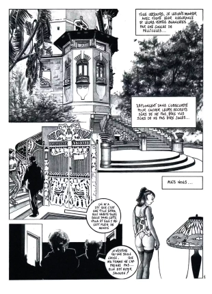 hentai Chattes et autres felins