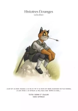 Chroniques d'un Malandrin : page 25