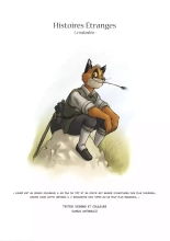 Chroniques d'un Malandrin : page 38