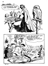 Complètement dingue : page 26
