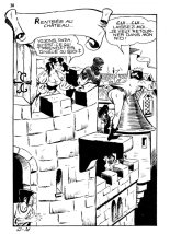 Complètement dingue : page 38