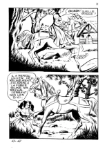 Complètement dingue : page 71