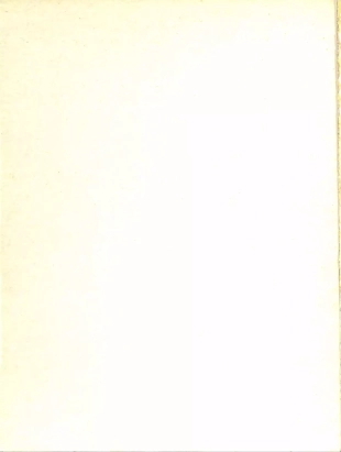 hentai alice in wonderland