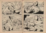 Contes Feerotiques 20 : page 35