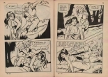 Contes Feerotiques 20 : page 38