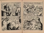 Contes Feerotiques 43 : page 35