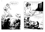 Contes malicieux - T21 - Le bois des enchantements : page 17