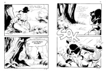 Contes malicieux - T21 - Le bois des enchantements : page 37