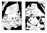 Contes malicieux - T21 - Le bois des enchantements : page 38
