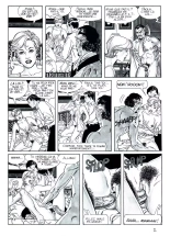 Dressage et Punition : page 3