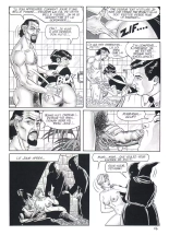 Dressage et Punition : page 17