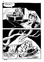 Elvifrance - Baghera - 018 - La panthère noire : page 10