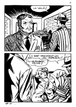 Elvifrance - Baghera - 018 - La panthère noire : page 13