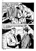 Elvifrance - Baghera - 018 - La panthère noire : page 14