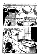 Elvifrance - Baghera - 018 - La panthère noire : page 15