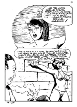 Elvifrance - Baghera - 018 - La panthère noire : page 27