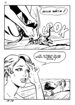 Elvifrance - Baghera - 018 - La panthère noire : page 40