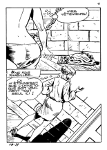 Elvifrance - Baghera - 018 - La panthère noire : page 41