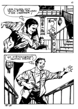 Elvifrance - Baghera - 018 - La panthère noire : page 43