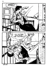 Elvifrance - Baghera - 018 - La panthère noire : page 44