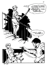 Elvifrance - Baghera - 018 - La panthère noire : page 45