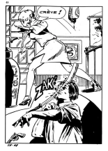 Elvifrance - Baghera - 018 - La panthère noire : page 46