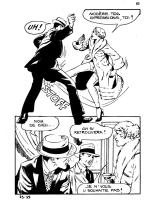 Elvifrance - Baghera - 023 - Cat tueur à gages : page 43