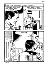 Elvifrance - Baghera - 023 - Cat tueur à gages : page 85