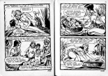 Elvifrance - Contes féérotiques 12 - L'amulette à zigoto : page 17