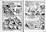 Elvifrance - Contes féérotiques 12 - L'amulette à zigoto : page 25