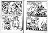 Elvifrance - Contes féérotiques 12 - L'amulette à zigoto : page 49