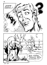 Elvifrance - Contes feerotiques - 030 - La cheville enchantée : page 42