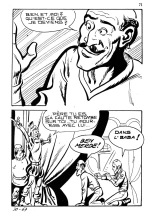 Elvifrance - Contes feerotiques - 030 - La cheville enchantée : page 71