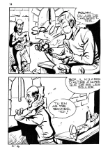 Elvifrance - Contes feerotiques - 030 - La cheville enchantée : page 74