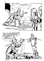 Elvifrance - Contes feerotiques - 030 - La cheville enchantée : page 98