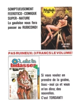 Elvifrance - Contes Malicieux - T41 - Un Ange Passe : page 116