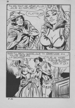 Elvifrance - Contes satyriques - 009 - Le Galurin magique : page 24
