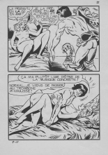 Elvifrance - Contes satyriques - 009 - Le Galurin magique : page 27