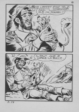 Elvifrance - Contes satyriques - 009 - Le Galurin magique : page 43