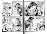 Elvifrance - Contes satyriques - 039 - Polichinel : page 22