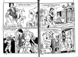 Elvifrance - Contes satyriques - 039 - Polichinel : page 31