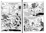 Elvifrance - Contes satyriques - 039 - Polichinel : page 69
