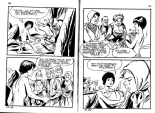 Elvifrance - Contes satyriques - 039 - Polichinel : page 94